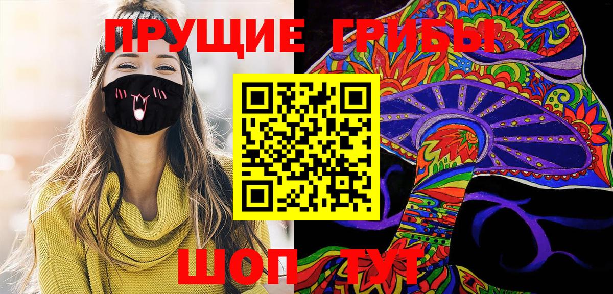 Галлюциногенные грибы Psilocybe Тверь